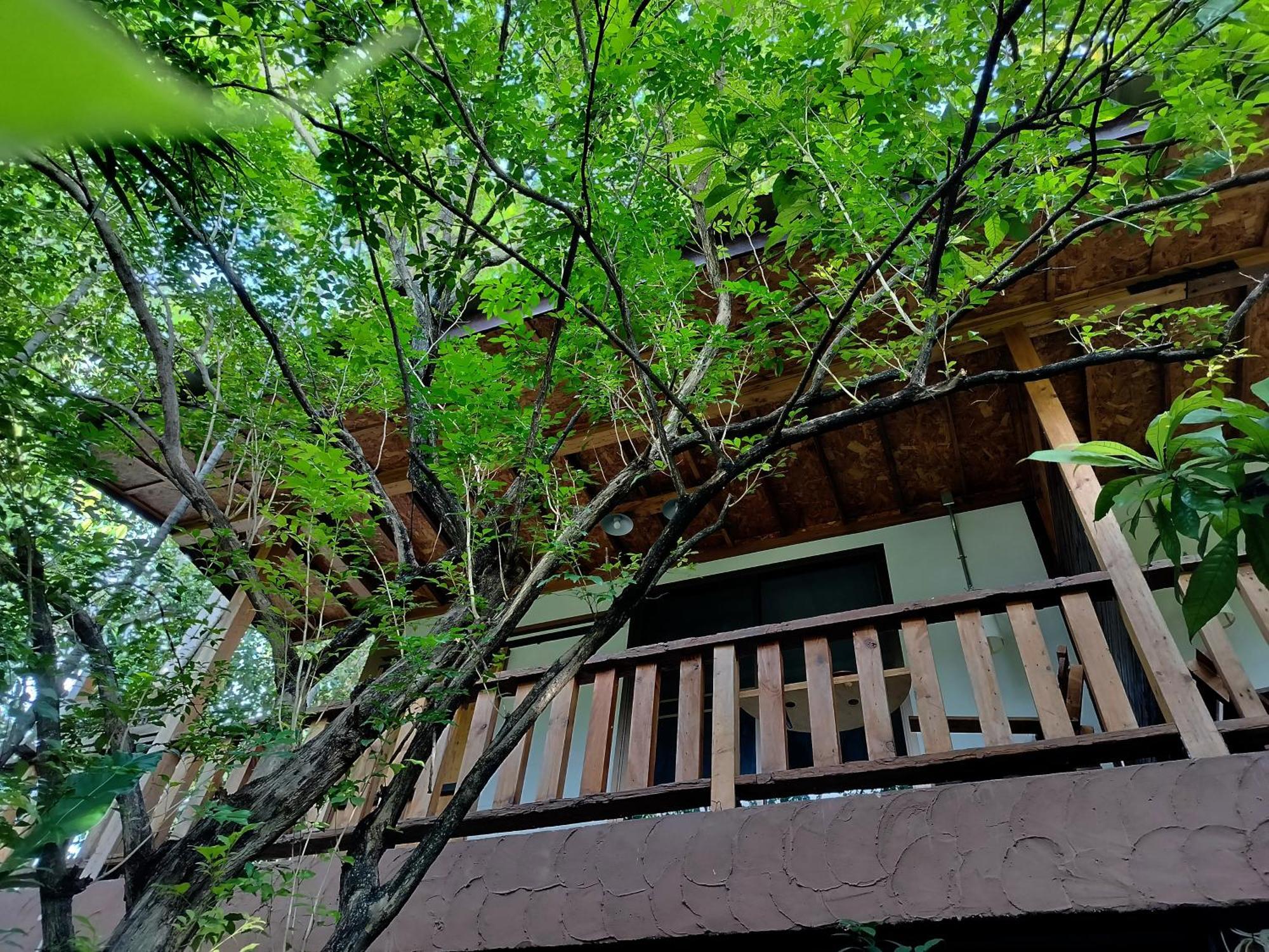Aparthotel Oldy De Garden Chiang Mai Esterno foto