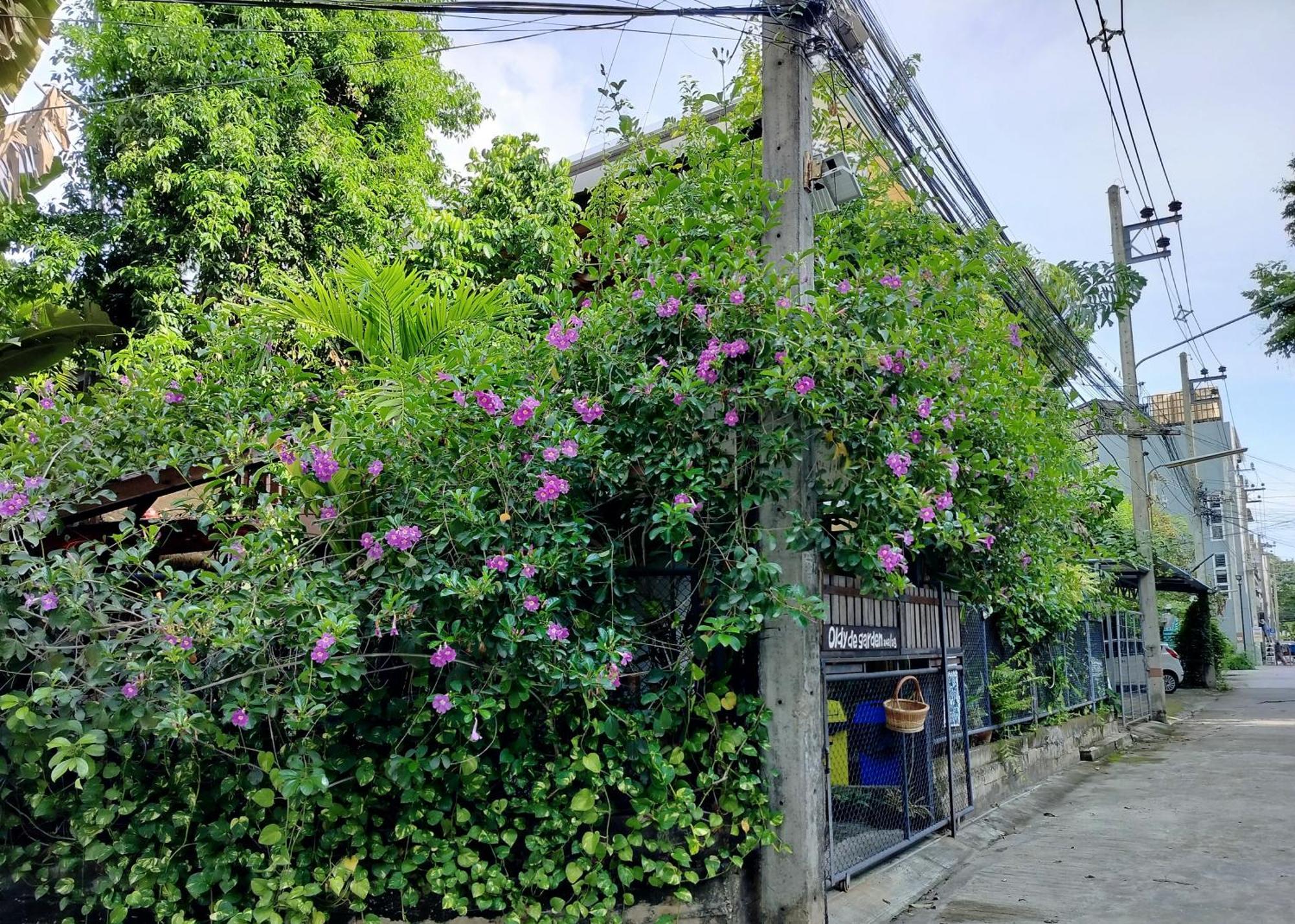 Aparthotel Oldy De Garden Chiang Mai Esterno foto