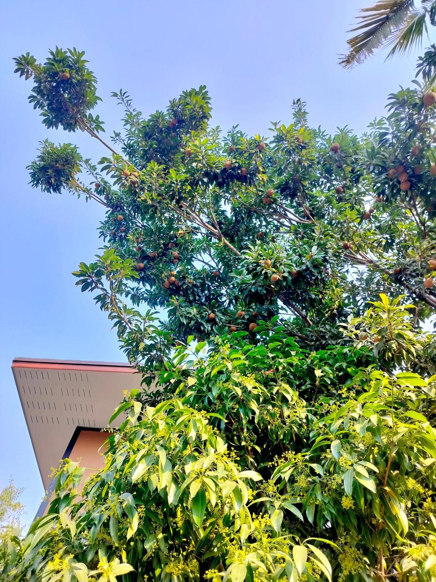 Aparthotel Oldy De Garden Chiang Mai Esterno foto
